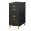 Filing Cabinet : DAN 2-Drawer Vertical File Cabinet