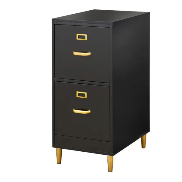 Filing Cabinet : DAN 2-Drawer Vertical File Cabinet