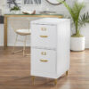 Filing Cabinet : DAN 2-Drawer Vertical File Cabinet