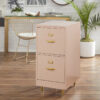 Filing Cabinet : DAN 2-Drawer Vertical File Cabinet