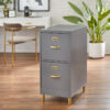 Filing Cabinet : DAN 2-Drawer Vertical File Cabinet