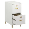 Filing Cabinet : DAN 2-Drawer Vertical File Cabinet