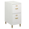 Filing Cabinet : DAN 2-Drawer Vertical File Cabinet