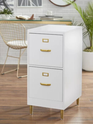 Filing Cabinet : DAN 2-Drawer Vertical File Cabinet