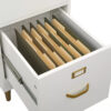 Filing Cabinet : DAN 2-Drawer Vertical File Cabinet