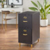 Filing Cabinet : DAN 2-Drawer Vertical File Cabinet