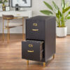 Filing Cabinet : DAN 2-Drawer Vertical File Cabinet