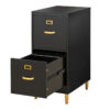 Filing Cabinet : DAN 2-Drawer Vertical File Cabinet