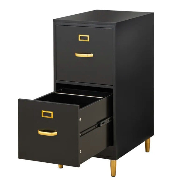 Filing Cabinet : DAN 2-Drawer Vertical File Cabinet