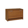 Shoe Rack: 12-Pair Shoe Storage Cabinet