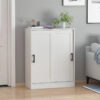 Shoe Rack: 2 Slide Door Shoes Storage Cabinet